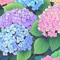 Beautiful colorful hydrangea flowers as background, top view Royalty Free Stock Photo